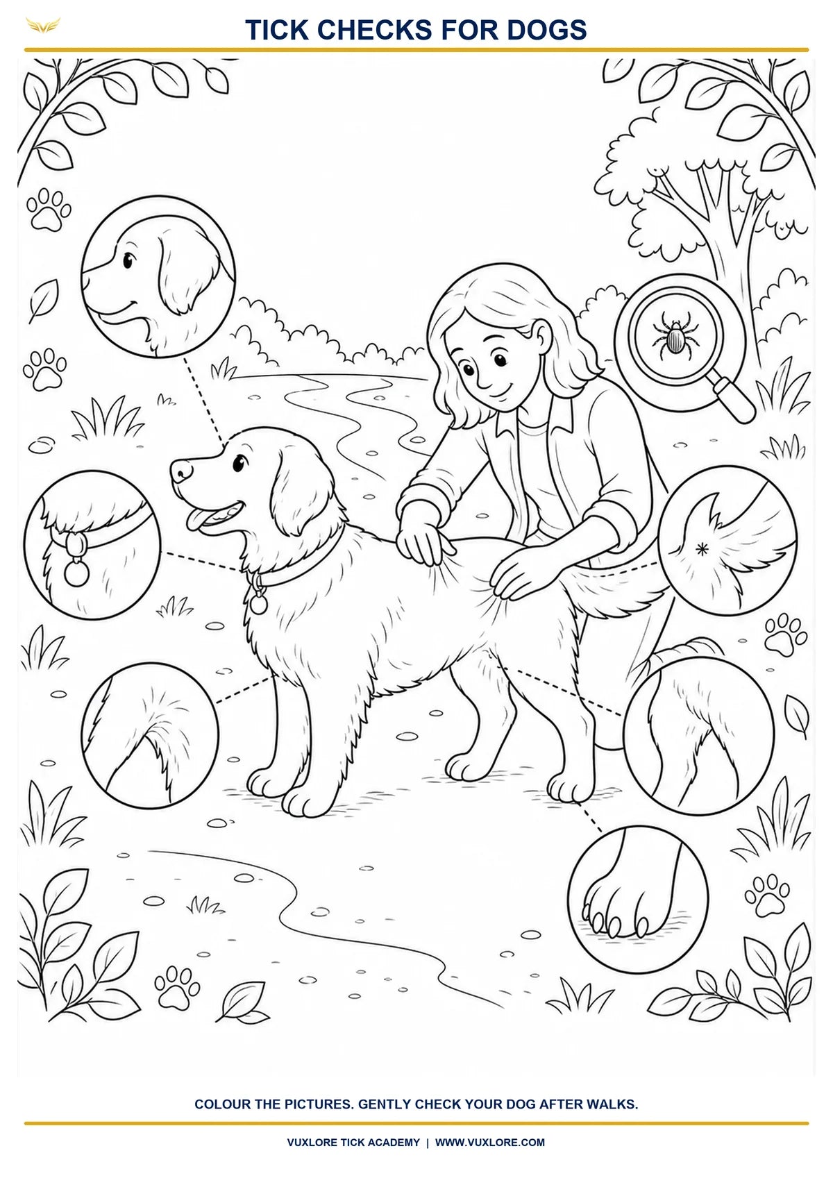 Dog tick-check colouring page showing common areas to inspect gently after outdoor walks