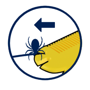VuxLore POCKET sliding beneath an attached tick close to the skin
