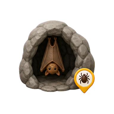 VuxLore bat tick fun fact icon