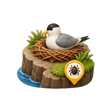 VuxLore bird tick fun fact icon