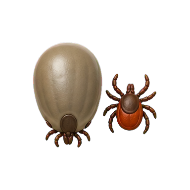 VuxLore engorged tick fun fact icon