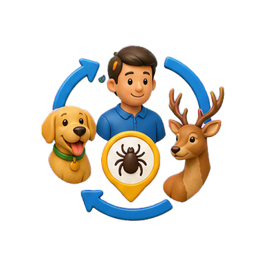 VuxLore one health fun fact icon