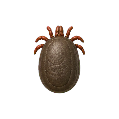 VuxLore soft tick fun fact icon