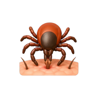 VuxLore tick mouthparts fun fact icon