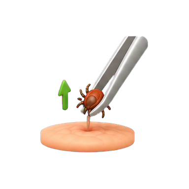 VuxLore tick removal fun fact icon
